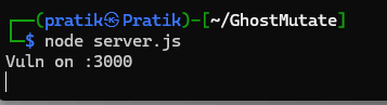 Terminal showing the proof-of-concept server running